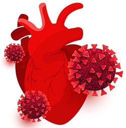 تصویربرداری قلب برای تشخیص آسیب کرونا
